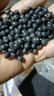 十月稻田 黑豆 2斤 青仁绿芯黑豆 非转基因打豆浆 东北五谷杂粮粗粮高蛋白 实拍图