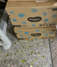 好奇（Huggies）金装拉拉裤L124片(9-14kg)尿不湿【速干不易红】 实拍图