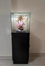 定制玉器珠宝文物古董艺术独立产品柜博物馆展台陈列柜玻璃展示柜 40*40*高120白/黑色含灯 实拍图