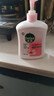 滴露（Dettol）健康抑菌洗手液滋润倍护500g 消毒抑菌99.99% 儿童适用不含酒精 实拍图