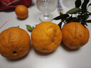 生活＆好管家四川丑橘不知火特大果新鲜水果桔橘子丑柑丑八怪整箱 9-10斤【家庭装】净重8.5斤 果径80-85mm【大果】 实拍图