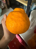 京鲜生 四川春见耙耙柑 净重5斤 单果180g起 生鲜水果柑橘桔子年货礼盒 实拍图