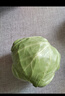 有机汇有机绿甘蓝 生鲜包菜大头菜 新鲜有机 产地种植 营养丰富零农残 圆甘蓝 500g 实拍图