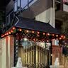太阳能户外庭院灯无字柿子灯串花园阳台布置农村小院元宵节装饰 【太阳能遥控款】10米36灯柿子灯串-暖光+遥控 实拍图