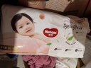 好奇（Huggies）铂金装小桃裤成长裤XL96片(12-17kg)加大号尿不湿【透爽散热】 实拍图