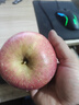 京鲜生 烟台红富士苹果 净重10斤  单果160g以上 水果礼盒 实拍图