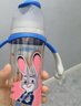贝亲（Pigeon）迪士尼疯狂动物城PPSU双把手彩绘奶瓶330mL L号 6月+ 探案朱迪 实拍图