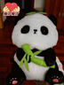 名创优品（MINISO）坐姿熊猫毛绒公仔毛绒玩具玩偶布娃娃抱枕送儿童女朋友生日礼物女 实拍图