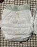 babycare金山茶花婴儿拉拉裤mini装L码20片(9-14kg)尿不湿【新老混发】 实拍图