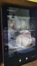 康宝（Canbo）消毒柜家用小型消毒碗柜高温立式迷你台式餐具碗筷收纳柜厨房消毒机【政府补贴】XDR53-TVC1 实拍图