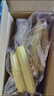 京东京造云南白拇指玉米1.76斤（16-20根）非转基因儿童宝妈早餐低脂新玉 实拍图