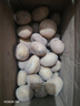 京喜加新鲜黄心土豆农家自种黄皮马铃薯黄心洋芋减脂早餐新鲜蔬菜 黄心土豆 9斤 净重 50g起/单果 实拍图