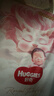 好奇（Huggies）皇家小龙裤拉拉裤XL32片(12-17kg)尿不湿【30倍爆吸】 实拍图