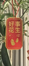 树上挂件饰品2025小灯笼挂饰装盆栽挂饰植物绿植盆景 22件植物挂卡【吉祥如意】 实拍图