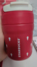 星巴克（Starbucks）莓好时光系列双饮口不锈钢杯340ml(配杯套)咖啡杯水杯年货节礼物 实拍图