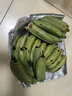 广东高山香蕉当季新鲜生鲜水果薄皮青蕉现摘现发水果源头产地直发 【5斤装】广东高山甜香蕉 实拍图