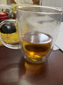 北鼎（Buydeem）双层玻璃杯办公室精美茶杯水杯 耐热透明家用泡茶杯 带把手喝茶杯 实拍图