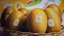 佳沛（zespri）意大利  阳光金奇异果10粒礼盒巨大果单果约144-175g 年货礼盒 实拍图