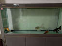 森森（SUNSUN）大型鱼缸底过滤水族箱客厅家用落地玻璃生态金鱼缸 【实时温显+灯控】纳米灰 1.5米长35cm宽 实拍图