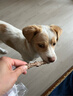 疯狂小狗狗零食泰迪金毛成犬幼犬耐咬磨牙棒 天然鸭肉原生牛皮卷100g*3 实拍图