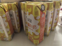 伊利味可滋香蕉牛奶240ml*12盒  营养早餐搭档 礼盒装 10月产 实拍图