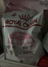 皇家幼猫猫粮 幼猫奶糕 K36 通用粮 4-12月 2KG 实拍图