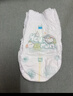 帮宝适超薄透气清新帮拉拉裤新生儿婴儿尿不湿尿片透氧Pro XL34 实拍图