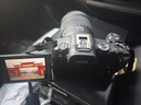佳能（Canon）佳能R8 全画幅微单数码相机 4K视频高清直播 24-105标准变焦镜头 旅行家用照相机 扫街旅拍套装 实拍图