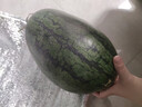 京鲜生 黑美人西瓜 1粒装 净重7-8斤 年货水果源头直发 实拍图