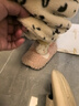 贝瑞加（Babyprints）婴儿地板袜男女宝宝软底学步袜室内早教袜套保暖隔凉鞋袜 粉S 实拍图