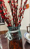 九月生新年装饰银柳真花20支60cm年宵花干花摆件礼盒送礼送亲友带花瓶 实拍图