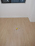 圣象强化复合木地板5级耐污ENF无醛级抗菌耐磨宠物推荐NPM2002e柠檬糖 实拍图
