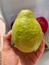 京觅福建红心白心 奶油双拼芭乐 番石榴单果150g起 净重3斤装源头直发 实拍图