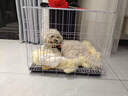 贝初众狗笼小中大型犬狗笼子猫笼带厕所加粗折叠宠物笼子柯基笼幼犬狗笼 白色加粗狗笼62*43*53【15斤内】 白色带厕所托盘 清洁方便 无毛边无倒刺不卡脚 实拍图