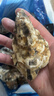 蜀皇乳山生蚝鲜活特大牡蛎海鲜5斤净重XL(28-38个)源头直发包 邮 实拍图