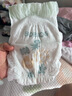 babycare艺术大师拉拉裤XXXL码24片(大于17kg) 婴儿尿不湿瞬吸干爽透气 实拍图