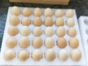 京鲜生 无抗保洁鲜鸡蛋30枚/盒 健康轻食 礼盒送礼 1.5kg/盒 源头直发 实拍图
