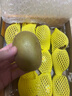 佳沛（zespri）意大利 阳光金奇异果12粒年货礼盒特大果单果约122-146g 猕猴桃 实拍图