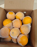 京鲜生 冰糖橙/橙子 5斤装  单果100-130g 生鲜水果年货礼盒 实拍图