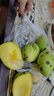 玖原农珍 云南玉芒净果4.5-5斤优选芒果200g+ 当季新鲜水果 实拍图