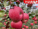 2025正宗云南昭通冰糖心丑苹果新鲜水果苹果当季脆甜水果产地直发 3斤装中果（70-80mm） 实拍图