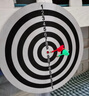 新动力黄麻飞镖盘套装成人比赛家庭娱乐玩具18寸飞镖靶 送6支加重飞镖 实拍图