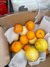 正宗云南宾川沃柑应季新鲜水果酸甜多汁整箱包邮 3斤装 实拍图