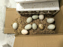鸭蛋新鲜生鸭蛋60-70g土鸭蛋农家散养青皮白皮生鲜食品超市批发 30枚 实拍图