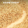素养生活有机燕麦米1斤 燕麦仁 保留胚芽 燕麦米煮粥 五谷杂粮 粗粮代餐 实拍图