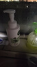 相宜本草氨基酸洁面泡沫慕斯500ml 洗面奶大容量深层清洁新年礼物 实拍图