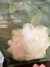 babycare一次性内裤山茶花孕产妇月子待产出差旅行女XL码15条【安全灭菌】 实拍图