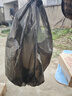 利得背心垃圾袋黑色50*60cm150只单面办公家用大号手提袋 实拍图