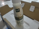 伊利金典3.8g乳蛋白 鲜活纯牛奶250ml*8瓶 30天常温短保 年货礼盒装 实拍图