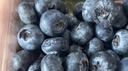 佳沃（JOYVIO） 蓝莓 大果18mm+ 4盒装 125g/盒 新鲜水果礼盒 实拍图
